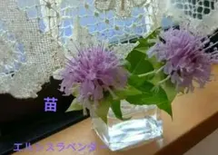 チーちゃん様 リクエスト 2点 まとめ商品