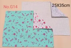 新品ランチョンマット2枚セット《No.G14》