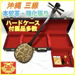 沖縄三線 人工蛇革 ソフトケース 付属品 楽譜 初心者向け 蛇皮 和楽器