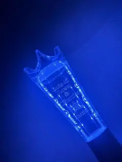 ARASHIペンライト　We are ARASHI 2026