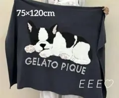 正規品♡新品 ジェラートピケ フレンチブルドッグ ブランケット