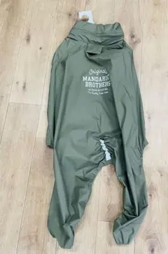 Item thumbnail for item e5720be5-8bce-4f8c-baee-ed4e4d74967b