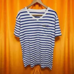 状態A+　ブルーブルーのTシャツ BlueBlueのボーダーシャツ