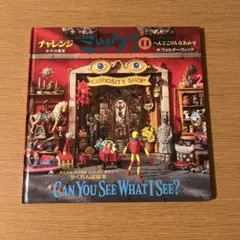 CAN YOU SEE WHAT I SEE? チャレンジミッケ