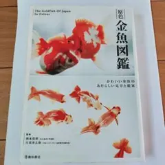 原色金魚図鑑 : かわいい金魚のあたらしい見方と提案
