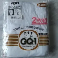 グンゼ GQ1 長ズボン下Lサイズ 2枚組