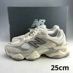 25cm ニューバランス 9060 