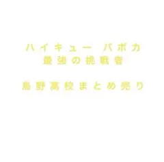 ハイキュー バボカ!! 烏野高校まとめ売り