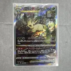 2026年最新】リーフィアvstar sarの人気アイテム - メルカリ