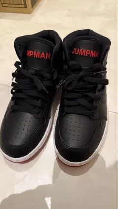 NIKE ナイキ エアジョーダンアクセス ブラック ジム レッド 25.0