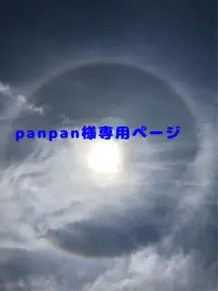 専用ページ