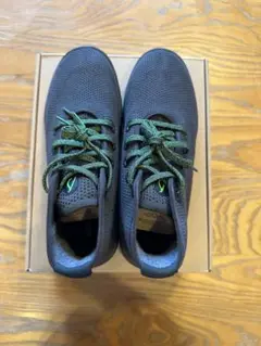 allbirds 27