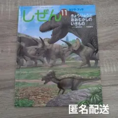 2026年最新】キンダーブックしぜん きょうりゅうの人気アイテム - メルカリ