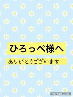 ひろっぺ様専用　ポーチ