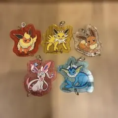 ポケモン アクリルキーホルダー5種類　セット