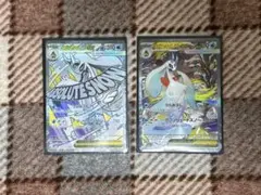 メガユキメノコ sar