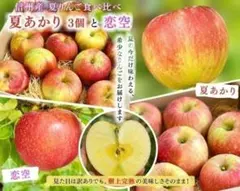 【地域限定】夏あかり・恋空 箱込4.5～5kg 本州送料込のサムネイル