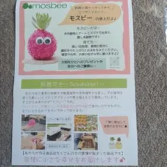 mosbee モスビー 多肉植物 アートミズゴケ　　 3個セットのサムネイル