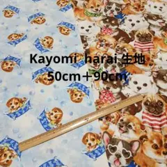 Kayomi harai 生地 50cm＋90cmセット(現品限り)