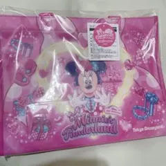 ディズニーパルパルーザミニーファンダーランド トートバッグ ショッピングバッグ