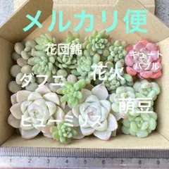 2025年最新】花団錦の人気アイテム - メルカリ