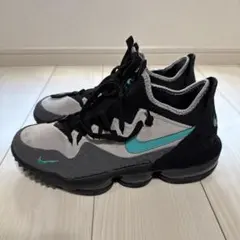 ナイキ レブロン アトモス 28.0