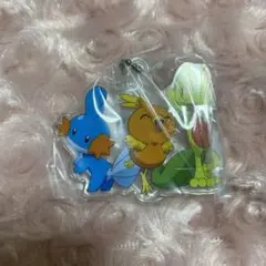 ポケモン ポケットモンスター 旅立ちの3匹 アクリルスイング キーホルダー ②