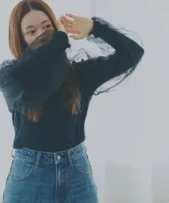 期間限定値下げ中✩﻿高山直子さんコラボ/チュールレイヤードプルオーバー/Eiis