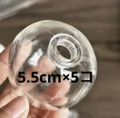 スクイーズの皮 球体 5個セット