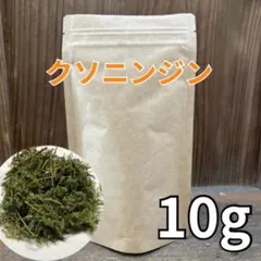 2025年最新】クソニンジンの人気アイテム - メルカリ