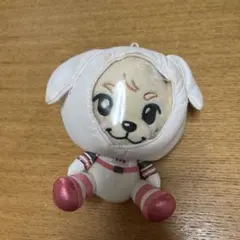 2026年最新】岩田剛典 ロッキー ぬいぐるみの人気アイテム - メルカリ