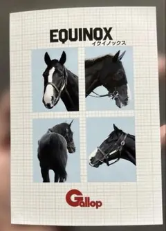 名馬証明写真風コンビニプリント　イクイノックス
