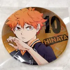 2025年最新】日向翔陽缶バッジの人気アイテム - メルカリ