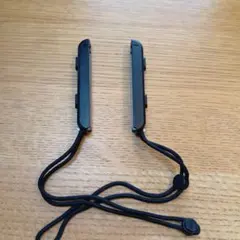 Nintendo Switch ジョイコンストラップ　2本