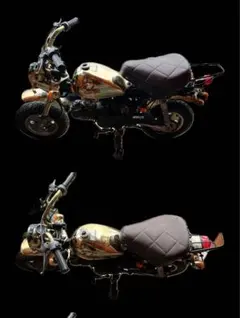 ゴールドモンキー　車体のサムネイル