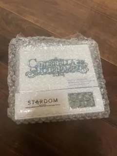 スターダム 前方席特典 5☆STAR GP 2024 開幕戦 大会記念パネル - メルカリ