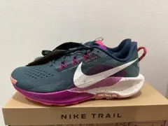 Nike Trail Running Shoes グレー/ピンク