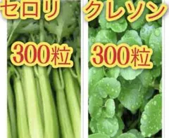 マリリンアップル様 リクエスト 5点 まとめ商品