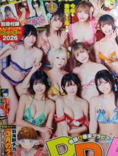 【カレンダー】【応募券】PPE『New Year Parade』・表紙