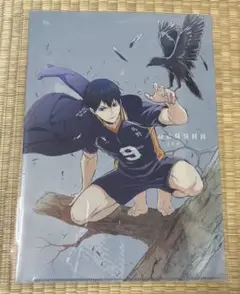 ハイキュー　コスパ　クリアファイル　影山