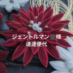 速達便料金