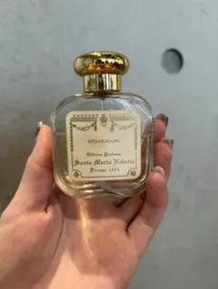 マグノリアのオーデコロンは廃盤 サンタマリアノヴェッラ 100ml 旧処方