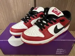 T*K様 Nike SB Dunk Low Pro J-Pack Chicago