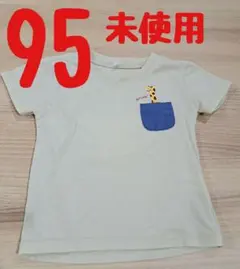 Item thumbnail for item ee3d6328-34a5-40eb-a28a-aef78da4401d