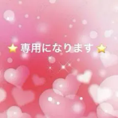 ⭐️ すみ様専用 ⭐️