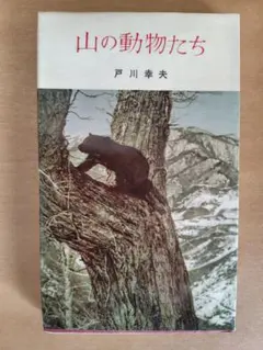 Item thumbnail for item 20827b76-ac8e-4c66-8e97-e308a5a7ed63