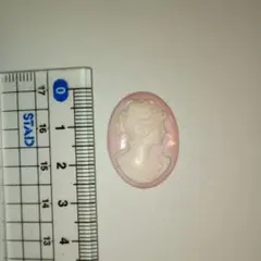 ピンク カメオ コンク貝