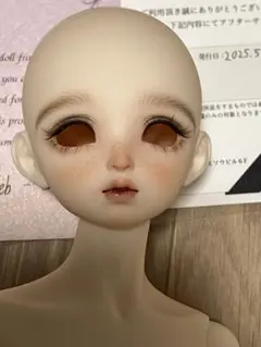 dolk お人形遊び