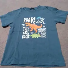 512）kladSkap 恐竜 Tシャツ 120