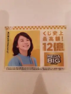 石田ゆり子MEGA BIG くじ 最高額12億 招き猫